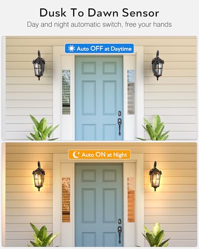Dusk to Dawn Outdoor Lighting (2 Count)