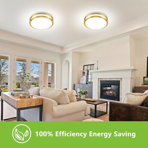 13inch LED Flush Mount Ceiling Light Fixture Dimmable Gold (2 Count)