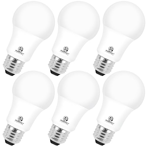 Energetic A19 6 (6 Count)