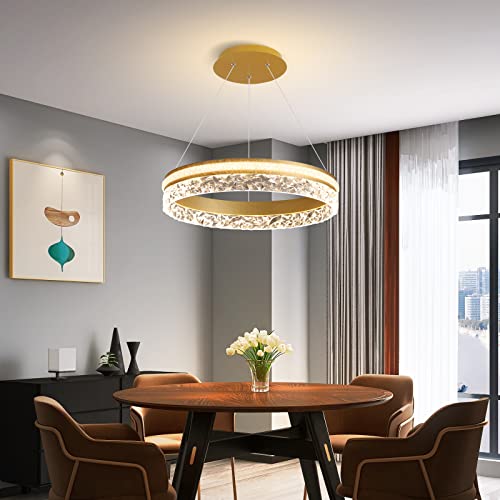 Modern LED Chandelier 1 Ring 19.7in Pendant Lighting for Kitchen Island 50W Dimmable LED Pendant Ceiling Light Gold Hanging Light with Remote for Kitchen Dining Room Bedroom Living Room