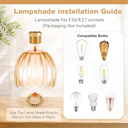 4 Pcs Glass Tulip Lamp Shade (4 Count)