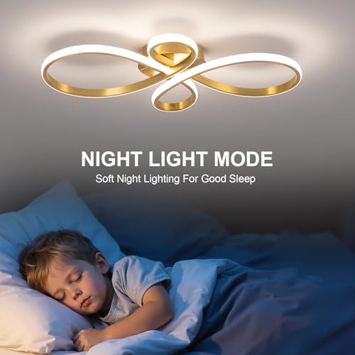 Modern LED Ceiling Light
