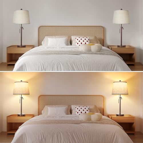 Table Lamps Set of 2 (2 Count)