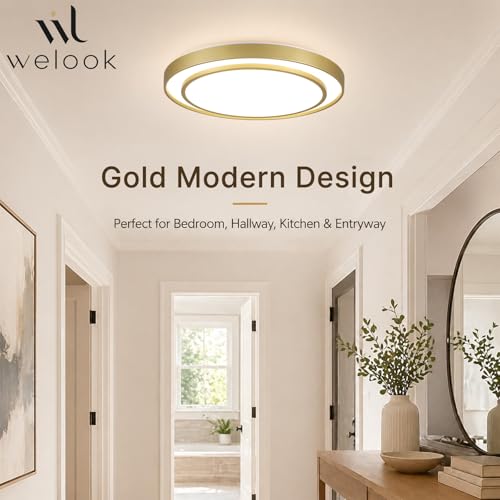 Gold LED Flush Mount Ceiling Light 20 Inch (Gold / 20Inch)