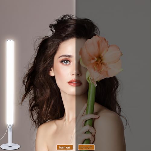 LED Vanity Lights for Mirror