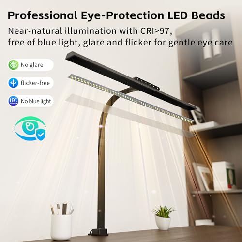 Clamp on Desk Lamp