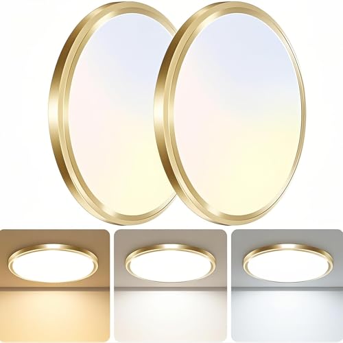 2Pack LED Ceiling Light Fixture (2 Count)