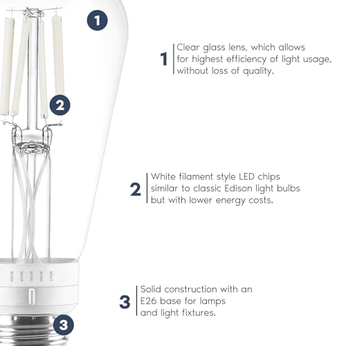 Vintage ST19 LED Light Bulb 60 Watt Equivalent (12 Count)