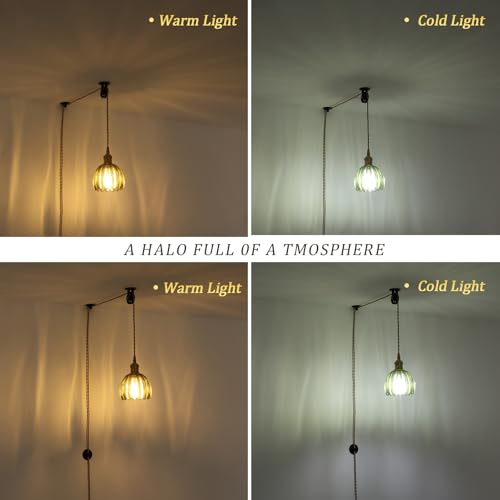 Plug in Pendant Light Hanging Light Fixture Corded On