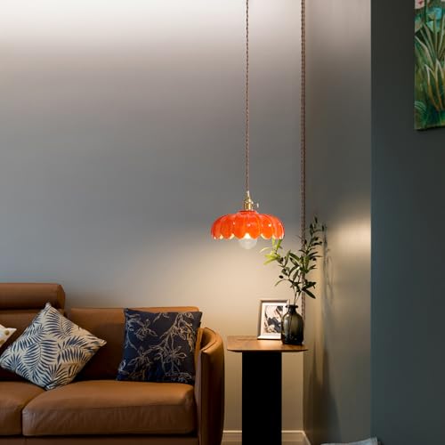 Plug in Pendant Light