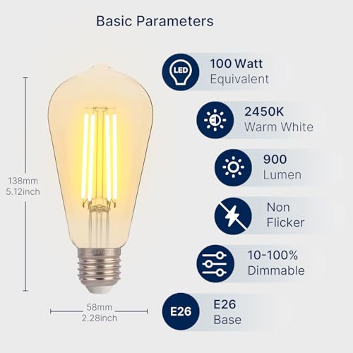 100W Equivalent LED Edison Bulbs (12 Count)