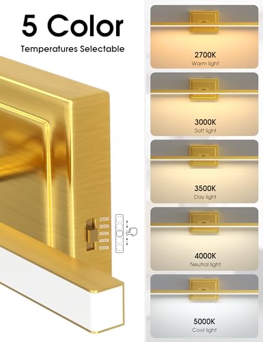 Bathroom Vanity Light 48 inch