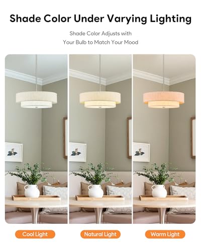 18" Modern Drum Chandelier