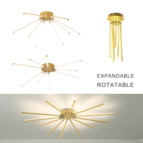 Modern LED Ceiling Light