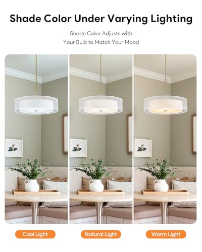 20.1" Drum Chandelier