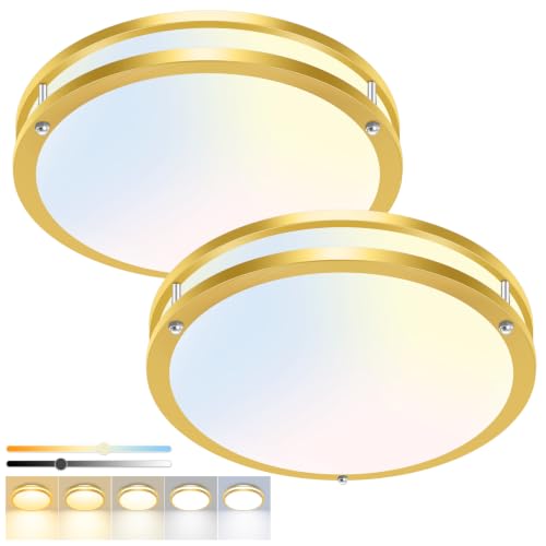 2 Pack Flush Mount Ceiling Light Fixture (2 Count)
