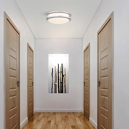 Brushed Nickel Ceiling Light