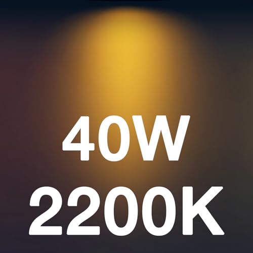 CA11 E26 LED Candelabra Bulbs (48 Count)
