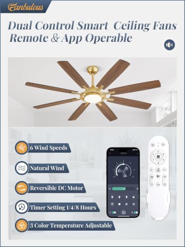 65 Inch Black Ceiling Fans with 3CCT Lights and Remote (Gold / 65")