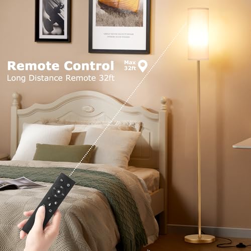 64'' Floor Lamps for Living Room with Remote Control and Stepless Dimmable Colors Temperature & Brightness
