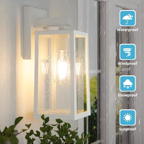 Outdoor Wall Light Fixtures (2 Count)
