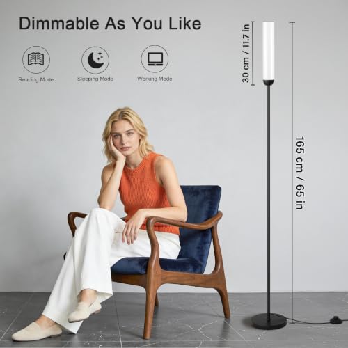 LED Floor Lamps with Remote Control Set of 2 (2 Count)
