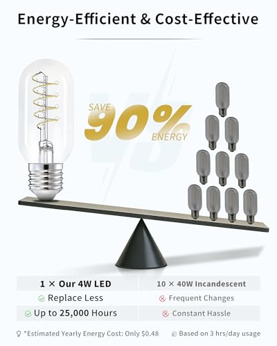 T45 Daylight Edison Bulbs (4 Count)