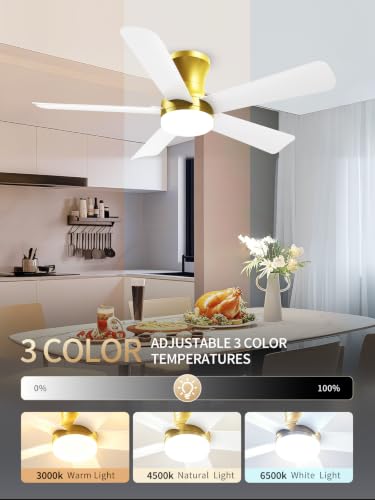 42 Inch White Gold Low Profile Ceiling Fan with Light and Remote (Gold White / 42 Inch)