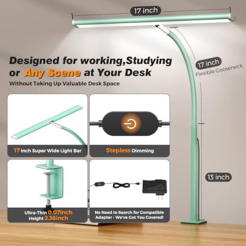 LED Desk Lamp with Clamp