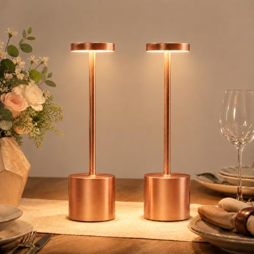 Rose Gold Cordless Table Lamps Set of 2 (2 Count)