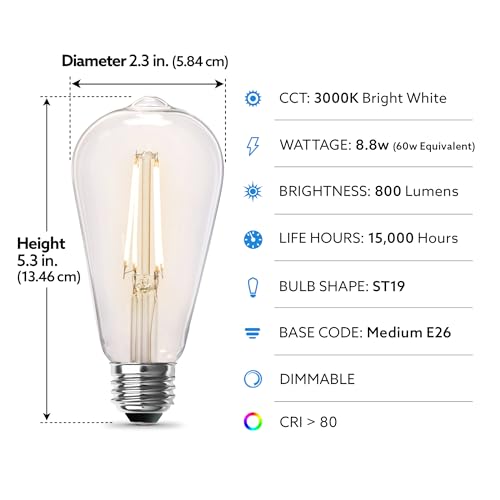 ST19 Vintage Edison LED Light Bulb (8 Count)