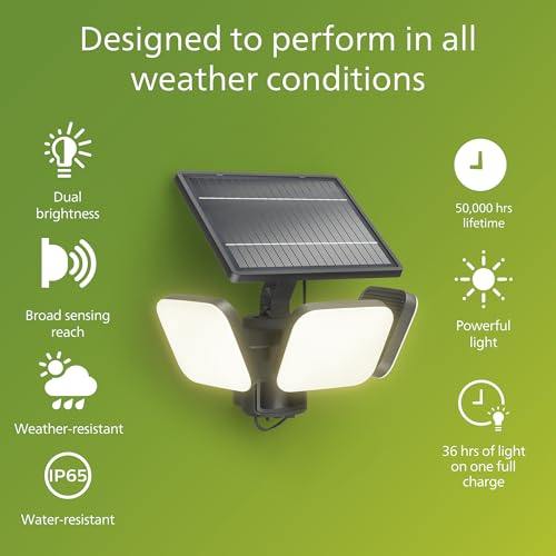 Zyren UltraEfficient Solar Security Light