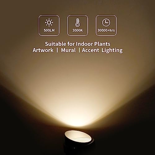 LED Clamp Spot Lights (2 Count)