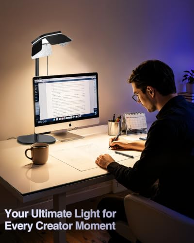 Desktop Zoom Meeting Streaming Key Light with Flexible Gooseneck