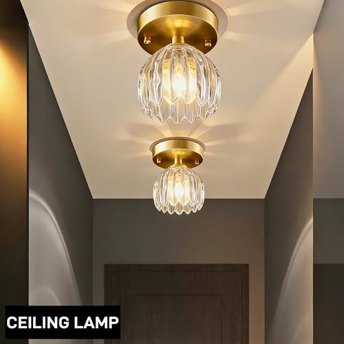 Clear Tulip Glass Lamp Shades Set of 2 (2 Count)