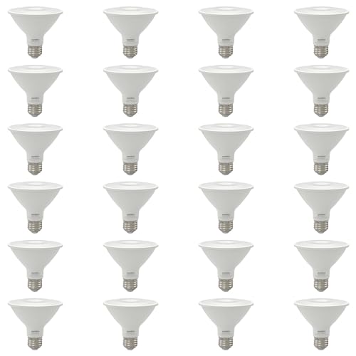 Reflector PAR30 LED Bulb (24 Count)