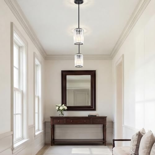 Black Pendant Light (2 Count)