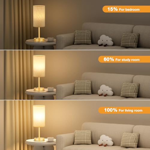 17.4" Gold Lamp for Bedroom