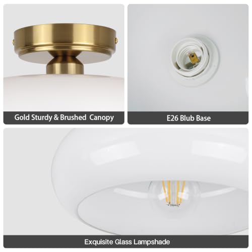 Small Semi Flush Mount Ceiling Light Fixture