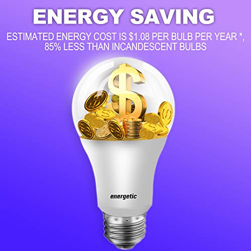 Energetic 24 Pack A19 LED Light Bulb (24 Count)