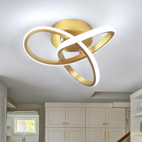 Modern Led Ceiling Light Fixture
