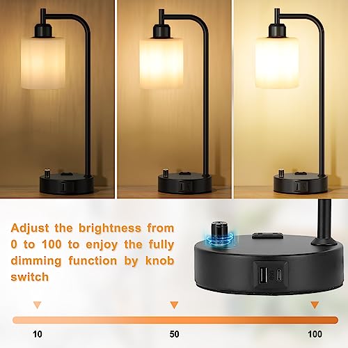 Industrial Bedroom Lamps for Nightstand Set of 2 (2 Count)