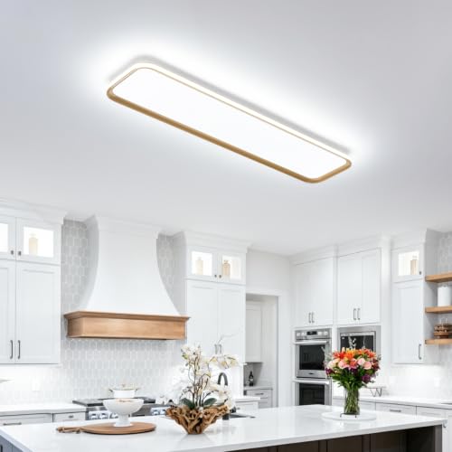 Modern LED Ceiling Light