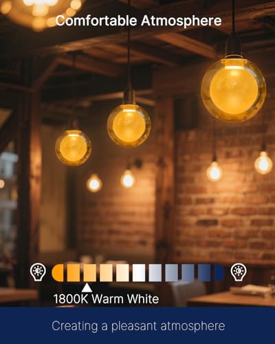 G125 Decorative Large Globe LED Bulb