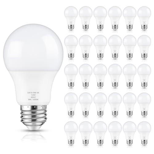 A19 LED Light Bulb 60W Equivalent (30 Count)