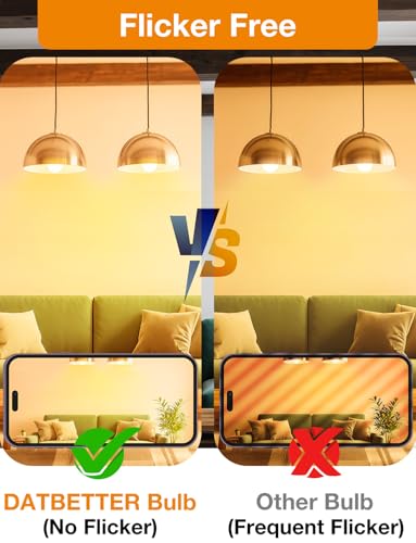 LED Light Bulbs (24 Count)