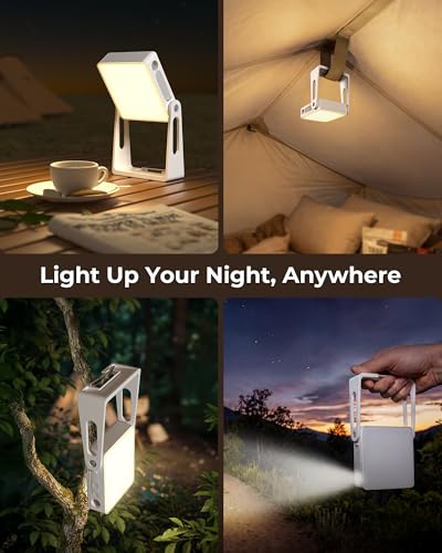 2 Pack Camping Light Lanterns (2 Count)
