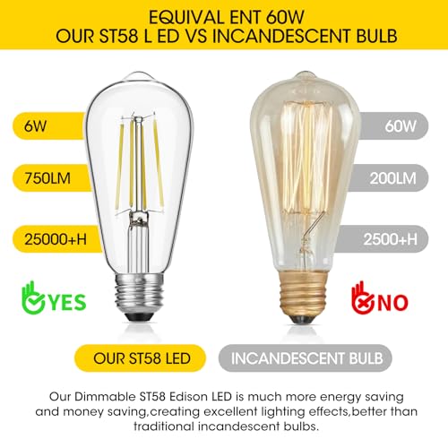 Dimmable Vintage LED Edison Bulb 60W Equivalent (24 Count)