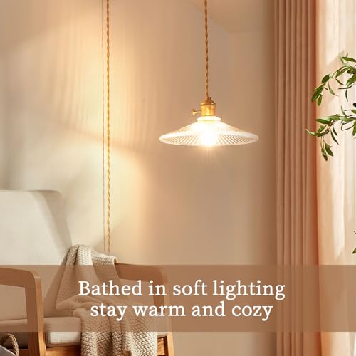 Hanging Lights with Plug in Cord