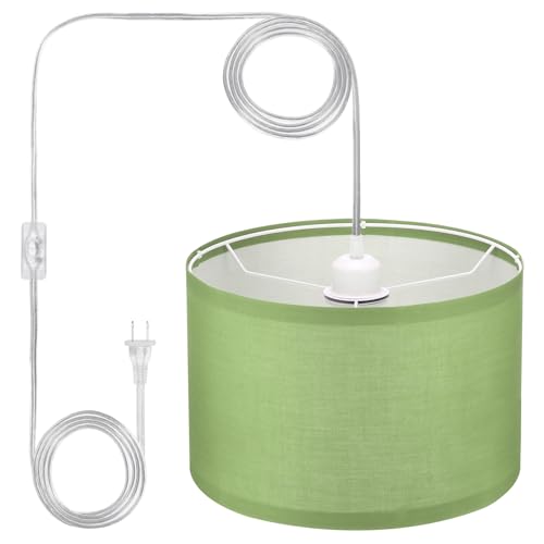 Plug in Pendant Light